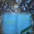 켈리 | 웰씽킹 책 | 켈리 최 책 후기 | 가난은 미덕이 아니라 그저 핑계일 뿐 추천 리뷰 핵심 요약