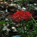 명산농장 이미지