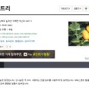 파파스트리