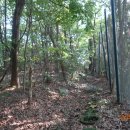 용인자연숲캠핑장 이미지