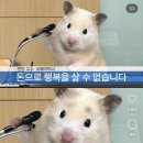 3월 먹방 일기