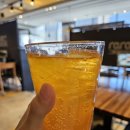 라라코스트 옥계점 | 구미옥계맛집 라라코스트 첫 방문 내돈내산 후기