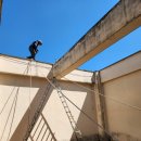 중앙로1261번길 이미지