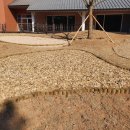 창원숲유치원 이미지