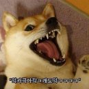 토담한옥 이미지