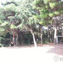 상양관광농원 이미지