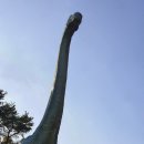 한국자연사박물관 이미지