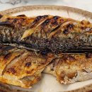 활어장군 이미지