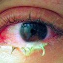 경희미한의원 이미지