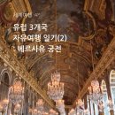 당구사냥 | [세계여행]12월,1월 유럽 자유여행: 화려함의 극치 베르사유 궁전_2일차+궁전 소개, 정원 가는 길