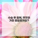 자연안에 한방병원 이미지