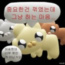 여주경찰서화장실 | 애엄마 한의대생의 본과 3학년 후기 - 정신없던 1년