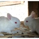 청강유치원 이미지