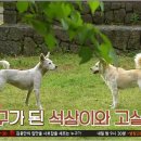 고양이민박 이미지