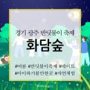 [경기 광주] 화담숲 반딧불이 축제 후기, 예약, 주차(2023년 6월 24일)