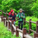 [여름, 향기로운 동행] 지리산국립공원 / 덕유산국립공원 [트레킹노트 세상을 걷다] 이미지