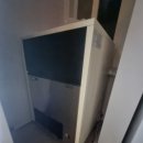 캘리포니아롤앤스시 이미지