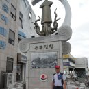 주문진수산시장 이미지