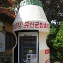 센스자판기