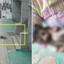 한이웃 이미지