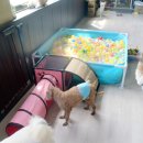 태우하우스 이미지