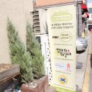 베네쿠치 이미지