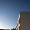 베스트 애견 이미지