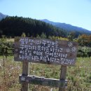 만산수목원 네이버블로그