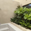 부에나두모 이미지