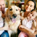 신화하우스 이미지