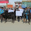 [Nov. 17] Afghanistan youths send solidarity message for Sr. Soh Stella 이미지