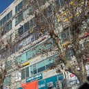 청능대로 | 인천송도미용실 추천 우모르헤어 리사디자이너 크리닉 받고 머릿결 달라진 후기