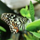 기억력 강화를 통한 건강한 뇌 만들기 | 학습 및 자기계발 계획 (관련 비용 포함): 은퇴 후에도 성장하며 활기찬 제2의 인생 만들기