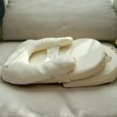 팡팡, 공룡으로 변신 | 육아｜역류방지쿠션 추천｜엔젤앤비 텐셀 구매후기