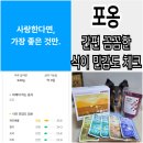 Natural Box | 강아지 사료 추천부터 알러지 검사까지 포옹앱으로 정착한 이유