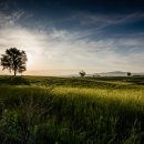 정우성목장 이미지