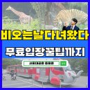 비홍지역아동센터 | 서울대공원 동물원 비오는 날 입장권 예매후기: 무료입장과 코끼리열차 꿀팁