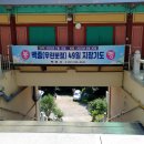 에버랜드 옆 명소 하나 더 용인에서 가장 오래된 사찰 향수산 백련사