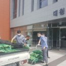 안내면행정복지센터 이미지