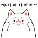 코코캣 이미지