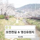 영신먹거리