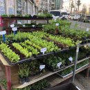 형제농약사 이미지