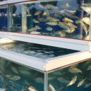 순돌이 회수산 이미지