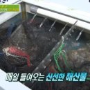 덕담오리 이미지