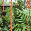 '끝없는 여름 주말' - The Sherman Library &amp; Gardens[Saturday, June 29, 2019 - PDT] 이미지