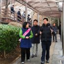 중일초교 횡단보도(중일초) 네이버블로그