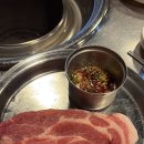 원조꼬리치는돼지 이미지