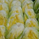 이명희농장 이미지