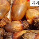 파파농수산