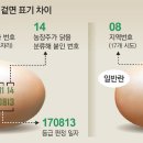 우리계란 이미지